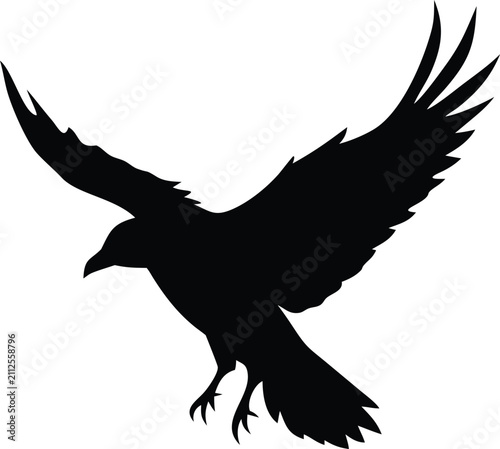 Stylized Bird Silhouette Vector Illustration Isolated on White