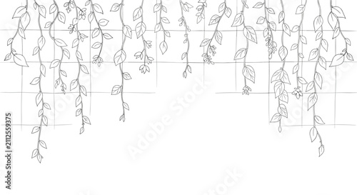 Black and white line art illustration of delicate ivy vines and leaves hanging gracefully against a grid tile background.
