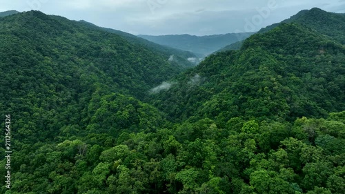 Misty Mountain Forest Landscape in Thailand with Soft Clouds and Sustainable Nature Concept