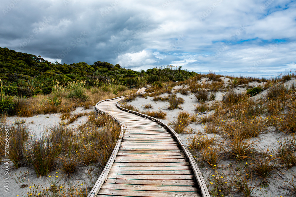 Fototapeta premium path to the sea