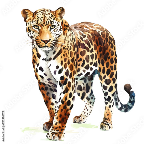 Photography Leopard artistic watercolor vector, modern minimal painting style with high deta