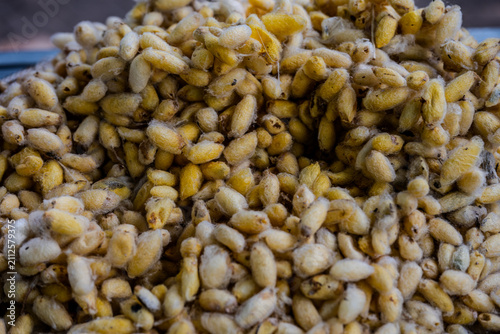 фотографія Pile of yellow silkworm cocoons for silk production