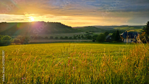 Bild auf Leinwand Sunset view over the beautiful rolling fields and vineyards of the Mosel region