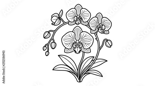 Obraz na płótnie Industrial Style Black and White Line Drawing of Orchid Flowers with Leaves and