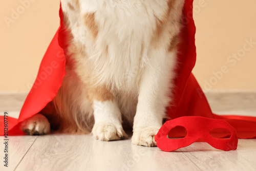 Cute dog with superhero cos...