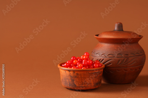 Bowl with fresh viburnum be...