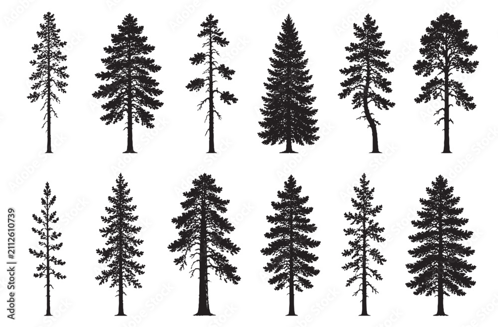 Obraz premium Forest Pine Tree Silhouettes Collection for Architectural CAD Renderings and Landscape Design