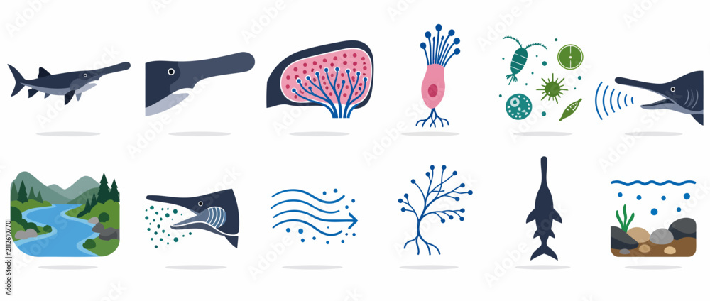 Obraz premium Colorful illustrated marine and biological life forms.
