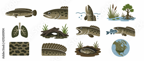 Fotografía Diverse fish and amphibian species illustration collection.
