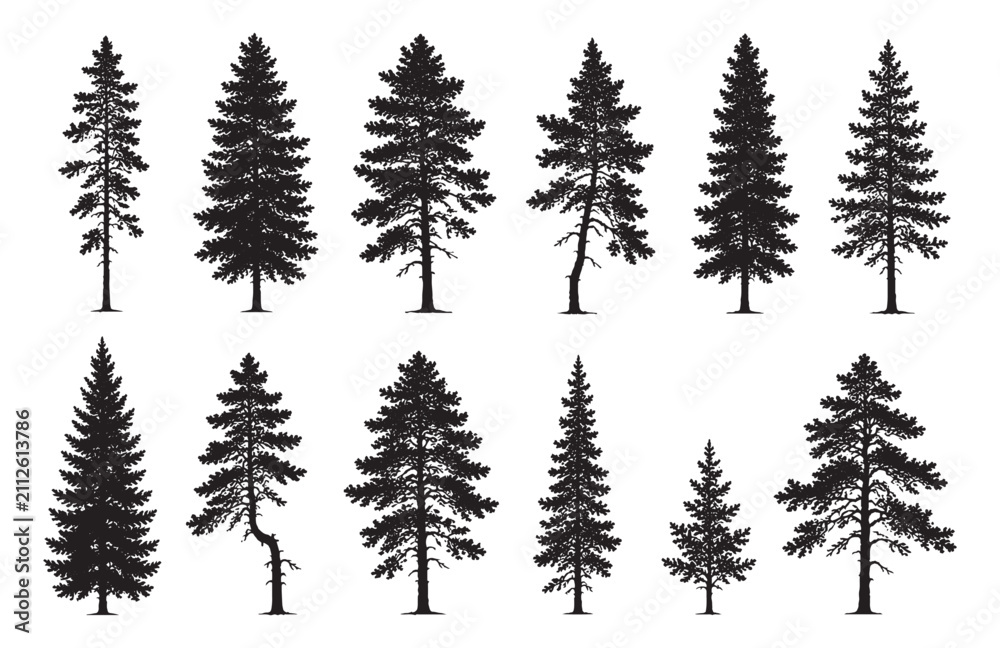 Obraz premium Tall Pine Tree Silhouettes Collection for CAD Architectural Elevation and Landscape Design