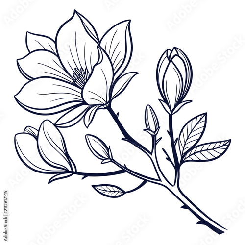 vintage magnolia with leaves