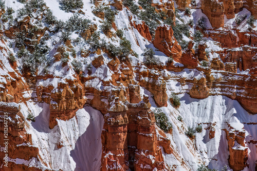 Red and orange sandstone hoodoos in Bryce Canyon National Park, Utah. The cliff face is covered with a layer of snow from the recent overnight storm. 
