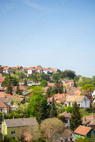 Картината върху платно Panorama of Sremski Karlovci - a baroque town in Vojvodina located 12 km southea