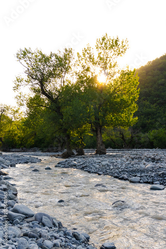 Konstfotografi Lush green trees bathed in warm sunlight stands along a stony, pebble-filled mountain riverbed with forested mountain slopes in the background