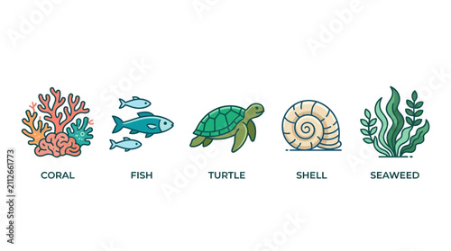 Icon set of marine life featuring coral, fish, turtle, shell, and seaweed elements isolated on a plain white background for educational design