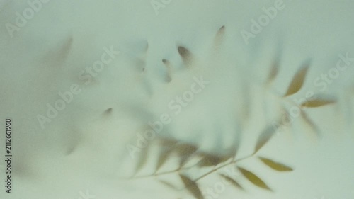 Dreamy Blurred Wildflowers