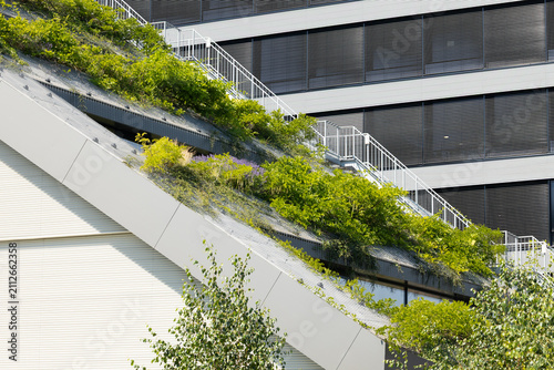 Greenery-covered sloped roof of a modern building with metal railings and large windows, showcasing urban architecture and sustainable design elements