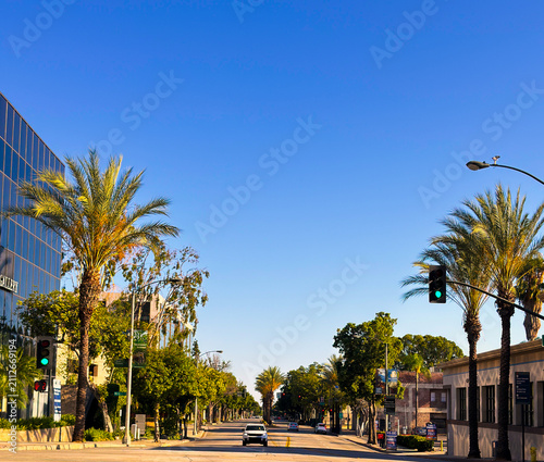 Sunny Street View Lined with Palm Trees in Pasadena California Under Blue Sky