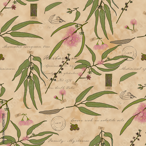 Vintage Eucalyptus Herbarium – Botanical Field Journal Seamless pattern. Victorian Eucalyptus Herbarium Collection hero pattern.