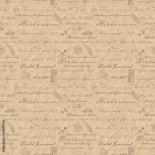 Botanical Herbarium Script on Vintage Parchment Seamless pattern. Victorian Eucalyptus Herbarium Collection coordinate Pattern.