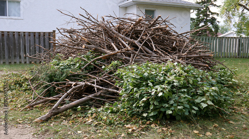 A large pile of tree branches and garden clippings sits on a suburban lawn. This represents yard waste removal, spring cleaning, and landscaping cleanup projects.