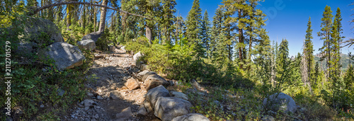 Rocky Hiking Trail Winding Through Sierra Nevada Forest