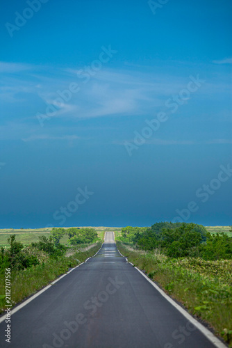 Hokkaido's straight rural road stretching to the horizon under blue summer sky