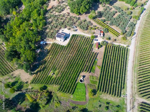 Cuadro en lienzo Aerial Drone View of Irpinia Vineyard on Amalfi Coast, Italy