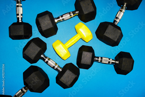 Colorful gym dumbbells on a blue background