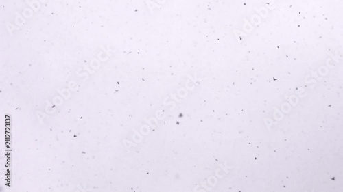 Dark ash particles descending onto the ground create a dramatic scene of environmental change. The image represents volcanic activity, wildfire aftermath, extreme weather conditions.