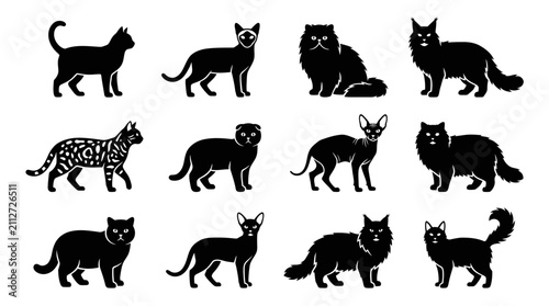Obraz na płótnie Set of Various Cat Breed Silhouettes and Icons.