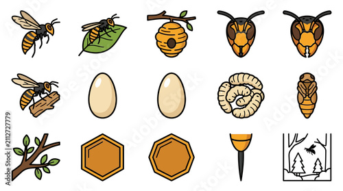Wasp Life Cycle and Colony Elements Icons