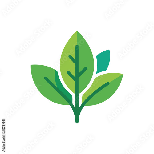 vector illustration of a leaf