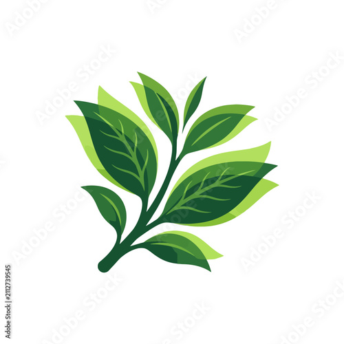 vector illustration of a leaf