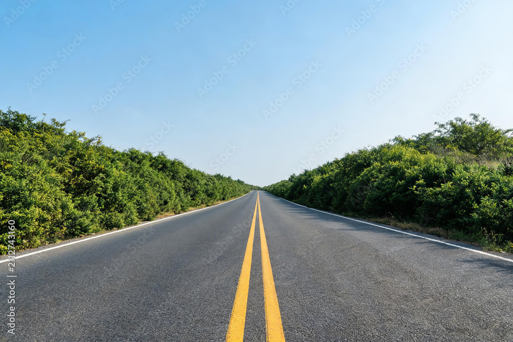 Naklejka premium A straight, empty asphalt road with double yellow lines runs through dense green bushes under a clear, cloudless sky.