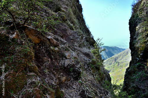 Naklejka 愛鷹山塊 蓬莱岳（蓬莱山）と呼子岳の鞍部 春の割石峠の峠道 