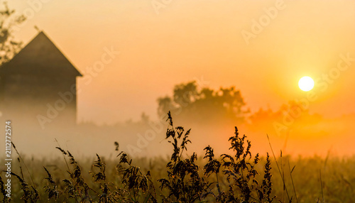 Golden sunrise over misty grassland morning field with soft pastel sky and warm sun light