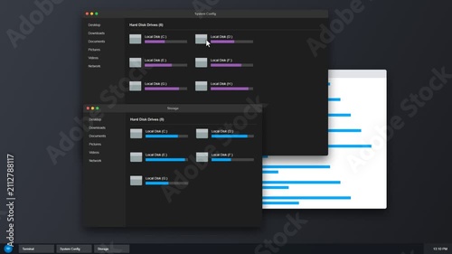 Computer operating system interface showing disk storage and data charts