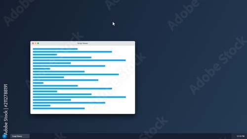 Software development script viewer interface window