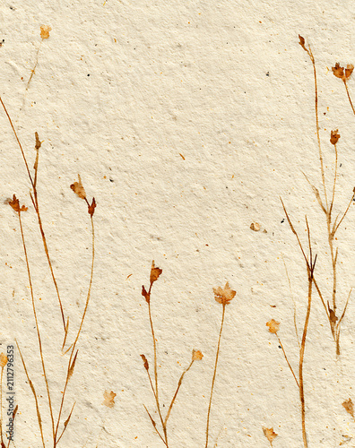 Minimalist Dry Wildflower Sprigs On Textured Beige Handmade Paper Sheet For Rustic Organic Background