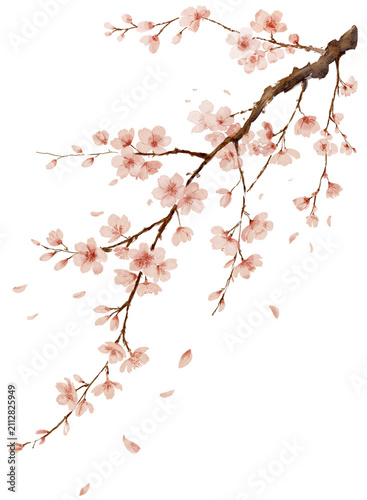 Blooming Plum Blossom Branch with Artistic Ink Wash Background
