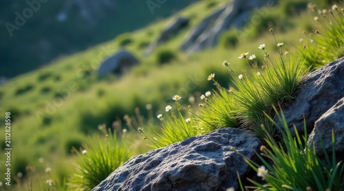 Serene hillside landscape featuring vibrant green grass and delicate wildflowers nestled amongst rugged rocks bathed in sunlight