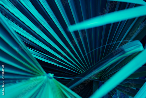 Abstract neon blue background, Dark turquoise tropical palm leaves