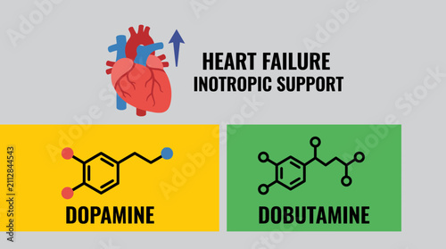 Cuadro en lienzo Heart Failure Inotropic Support Dopamine Dobutamine Vector