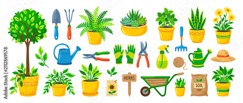 фотографія Gardening tools and potted plants collection