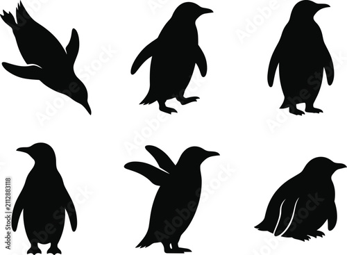 Obraz na płótnie Collection of various penguin poses isolated on a white background in a black si