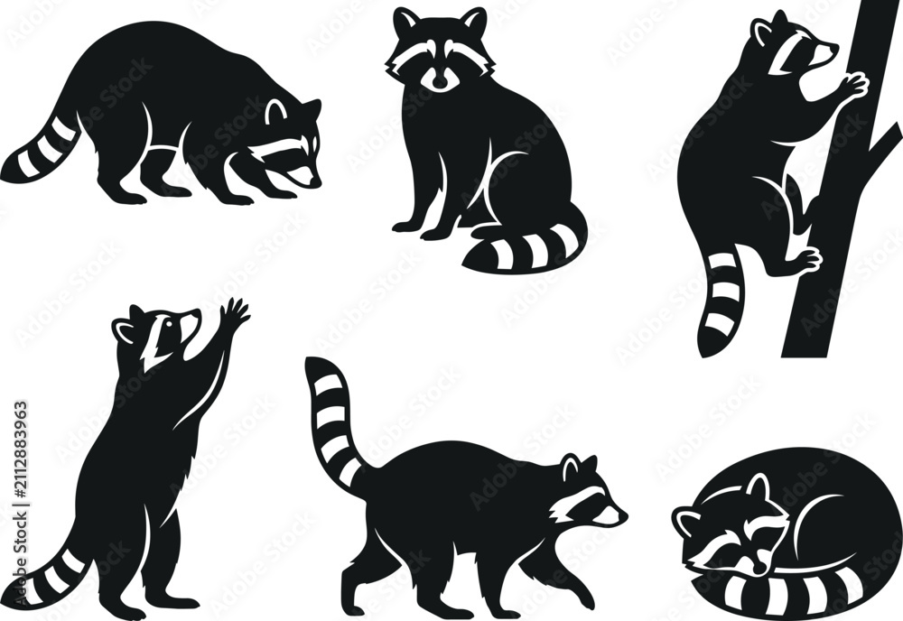 Obraz premium Set of cute raccoon characters in various poses presented in a flat black and white artistic silhouette