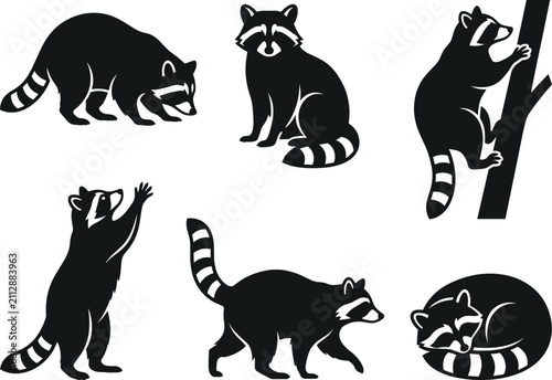 Foto Set of cute raccoon characters in various poses presented in a flat black and wh