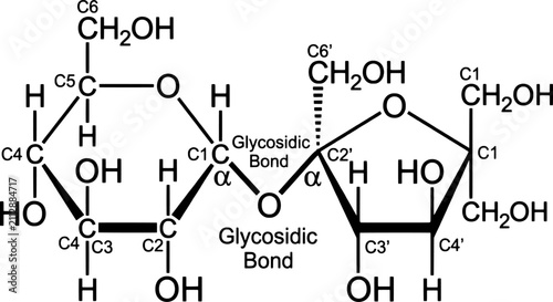 Принти на полотні Molecular structure of sucrose with glycosidic bonds
