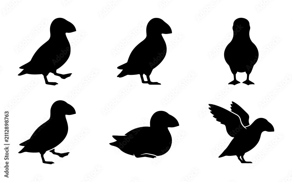 Fototapeta premium Puffin Silhouette Collection: Various Poses, Bird Vector Icons, Wildlife Graphics